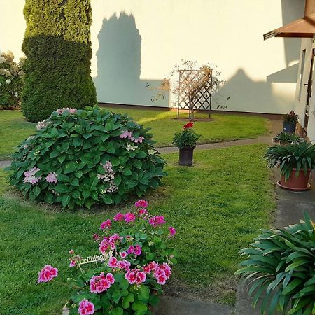 Ferienwohnungen Peters Korswandt Exteriör bild